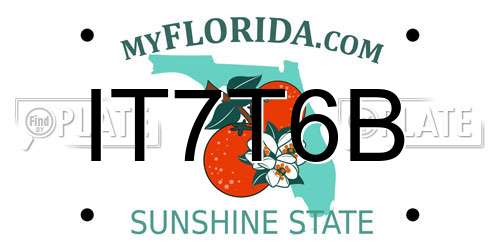 IT7T6B Florida License Plate