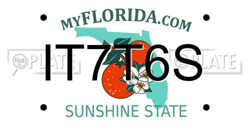 IT7T6S Florida License Plate