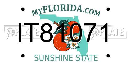 IT81071 Florida License Plate