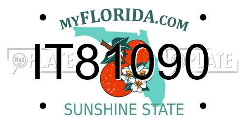 IT81090 Florida License Plate