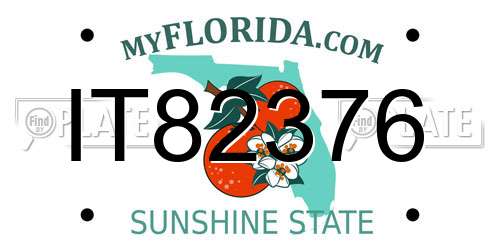 IT82376 Florida License Plate