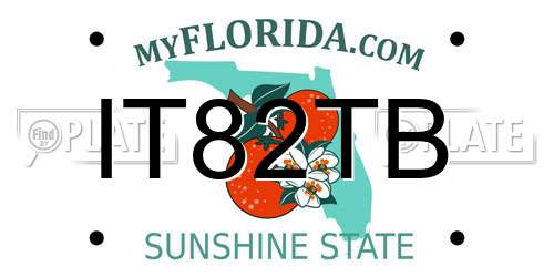 IT82TB Florida License Plate