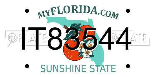 IT83544 Florida License Plate