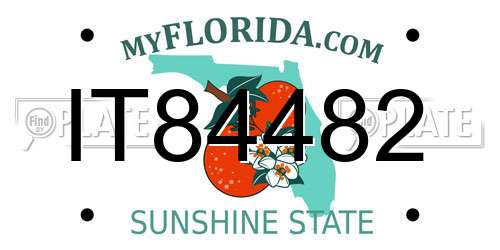 IT84482 Florida License Plate