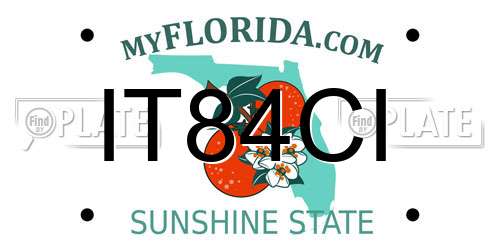 IT84CI Florida License Plate