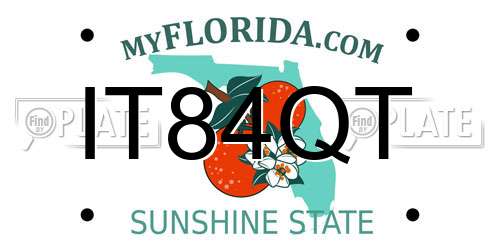 IT84QT Florida License Plate