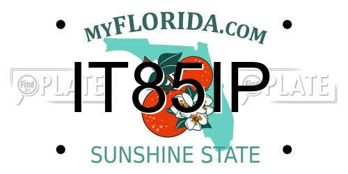 IT85IP Florida License Plate