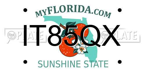 IT85QX Florida License Plate