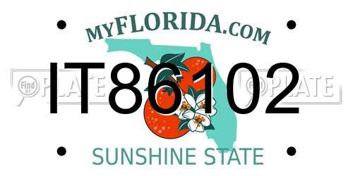 IT86102 Florida License Plate