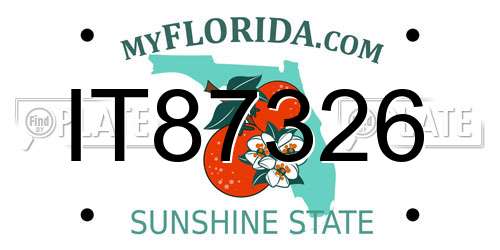 IT87326 Florida License Plate