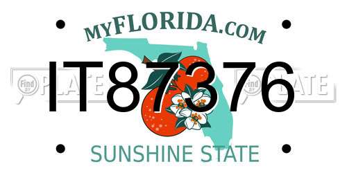 IT87376 Florida License Plate