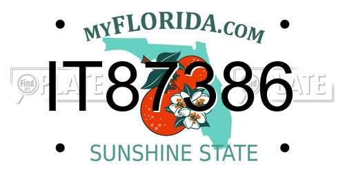 IT87386 Florida License Plate