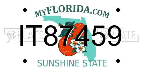 IT87459 Florida License Plate