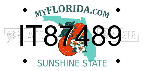 IT87489 Florida License Plate