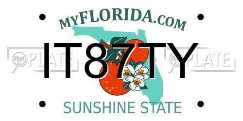 IT87TY Florida License Plate