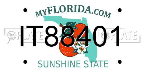 IT88401 Florida License Plate