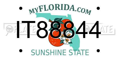 IT88844 Florida License Plate
