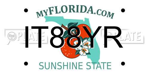 IT88YR Florida License Plate