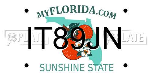 IT89JN Florida License Plate