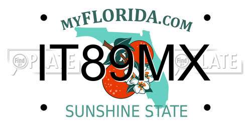 IT89MX Florida License Plate