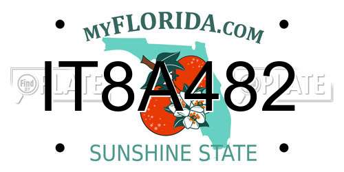IT8A482 Florida License Plate