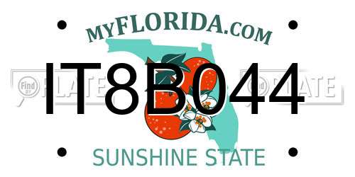 IT8B044 Florida License Plate