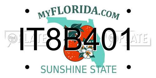 IT8B401 Florida License Plate