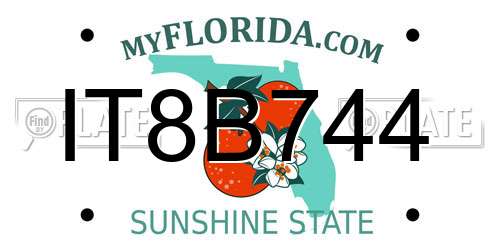 IT8B744 Florida License Plate