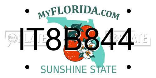IT8B844 Florida License Plate