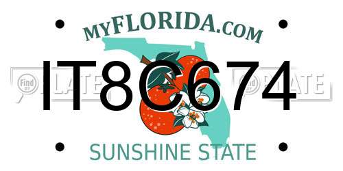 IT8C674 Florida License Plate