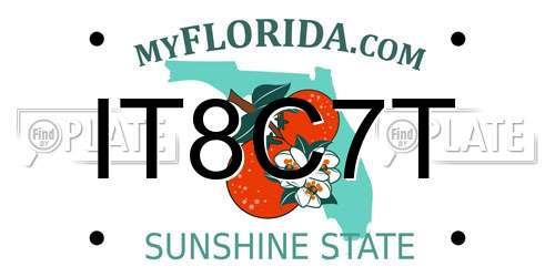 IT8C7T Florida License Plate