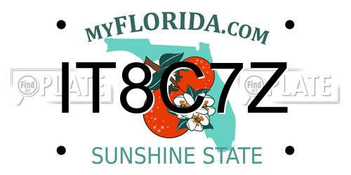 IT8C7Z Florida License Plate