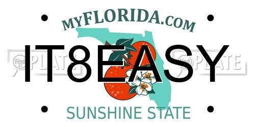 IT8EASY Florida License Plate