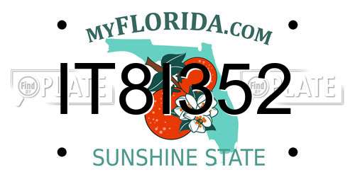 IT8I352 Florida License Plate