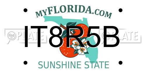 IT8R5B Florida License Plate