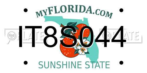 IT8S044 Florida License Plate