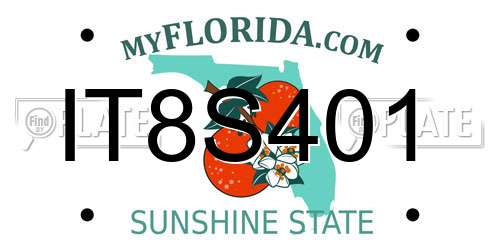 IT8S401 Florida License Plate