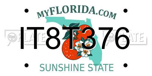 IT8T376 Florida License Plate