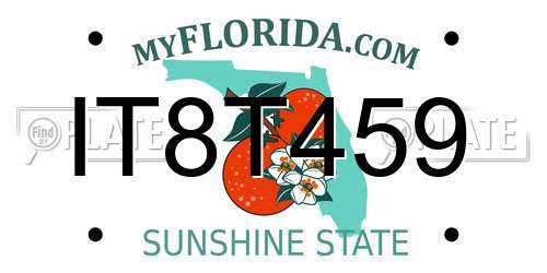 IT8T459 Florida License Plate