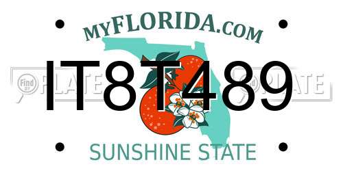 IT8T489 Florida License Plate