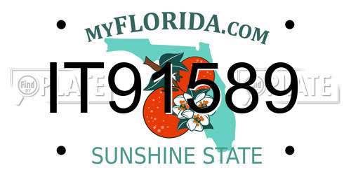 IT91589 Florida License Plate