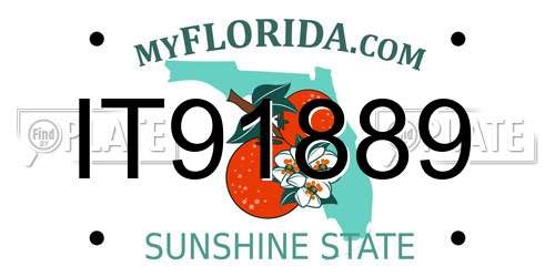 IT91889 Florida License Plate