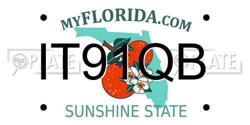 IT91QB Florida License Plate