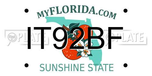 IT92BF Florida License Plate