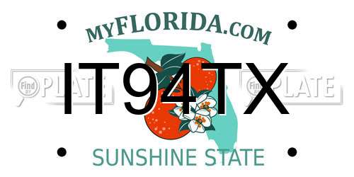 IT94TX Florida License Plate
