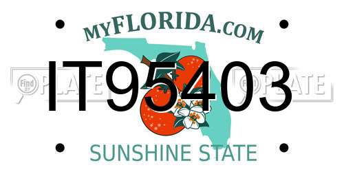 IT95403 Florida License Plate