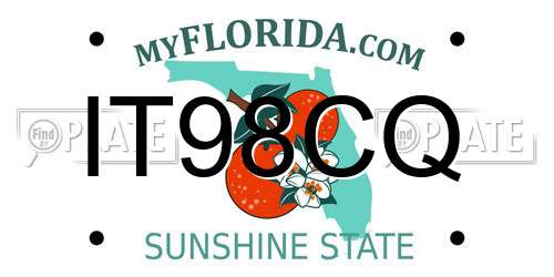 IT98CQ Florida License Plate