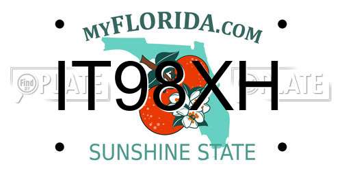 IT98XH Florida License Plate