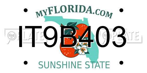IT9B403 Florida License Plate