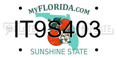IT9S403 Florida License Plate